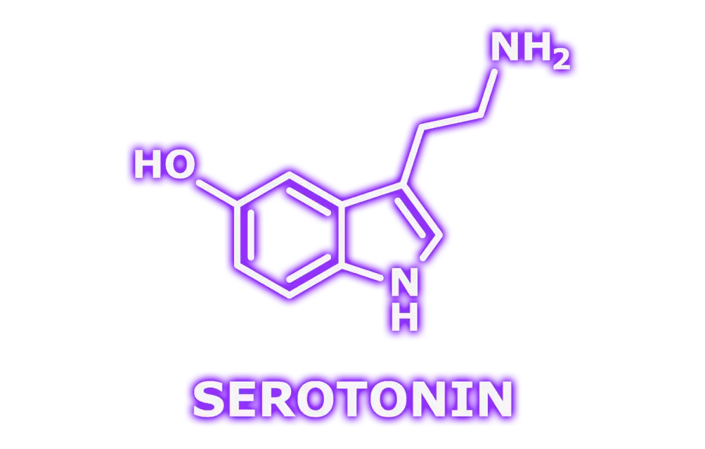 Serotonin