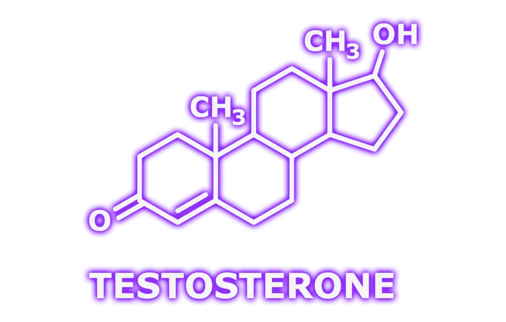 Testosterone