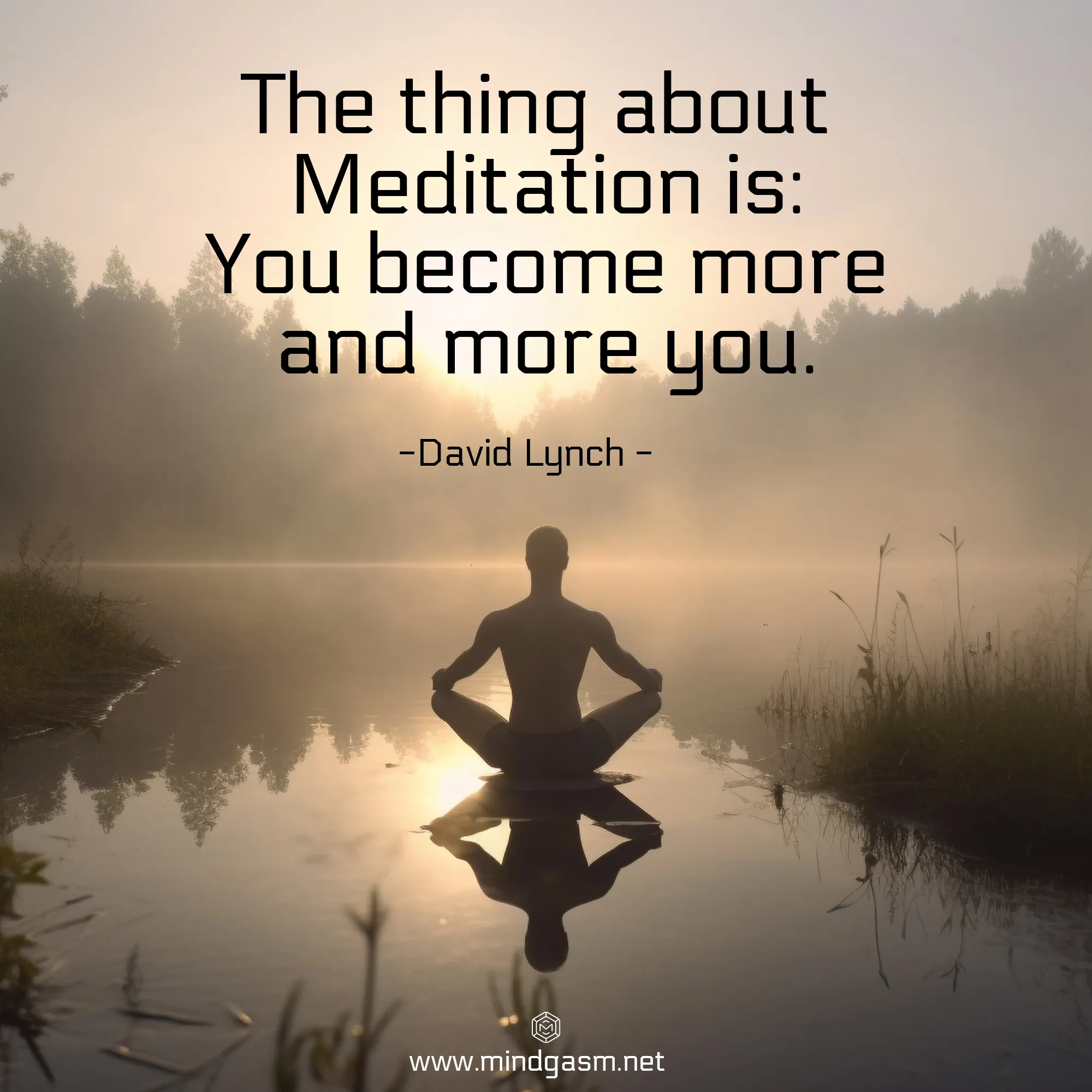 Meditation quote