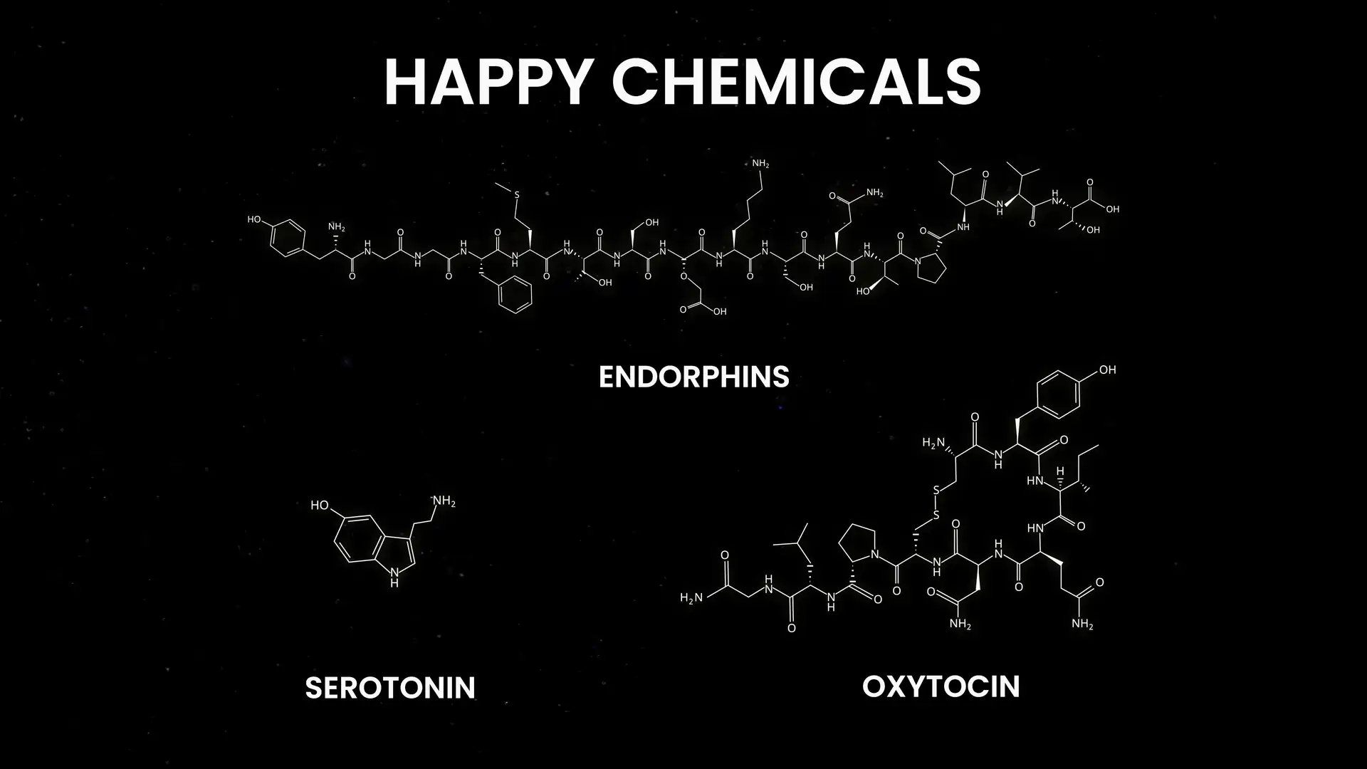 Happy chemicals: endorphins, serotonin, oxytocin