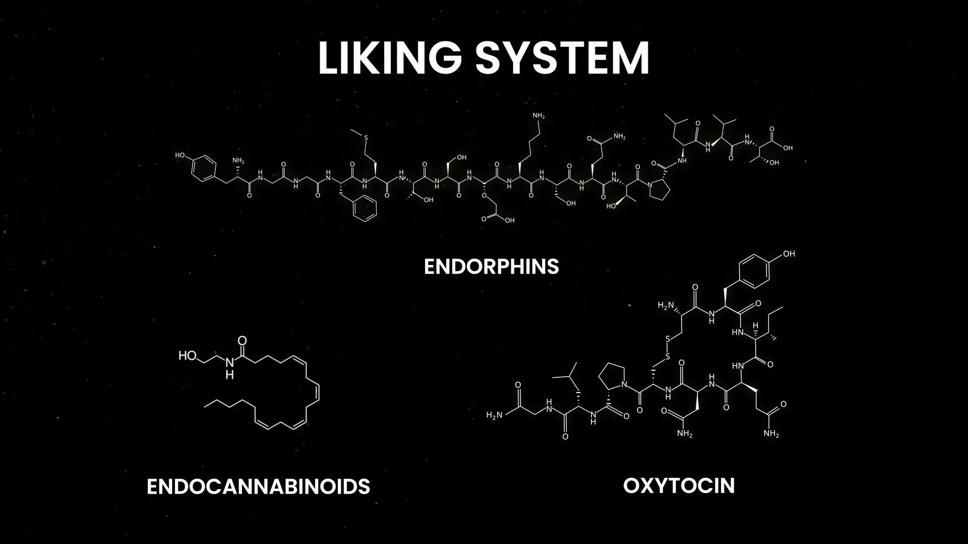 The liking system: endorphins, endocannabinoids, oxytocin