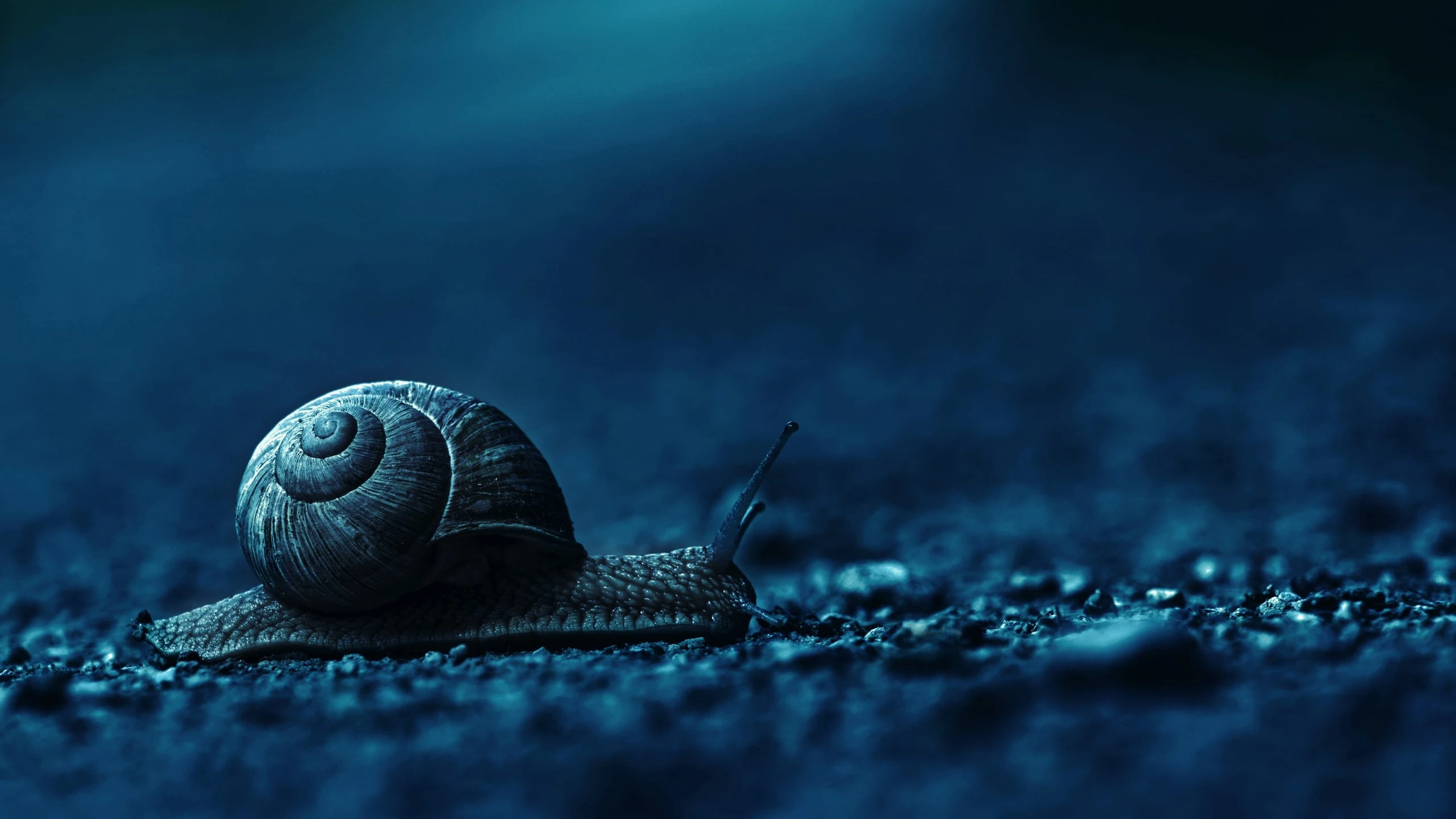 Day 14 desktop wallpaper - Clean